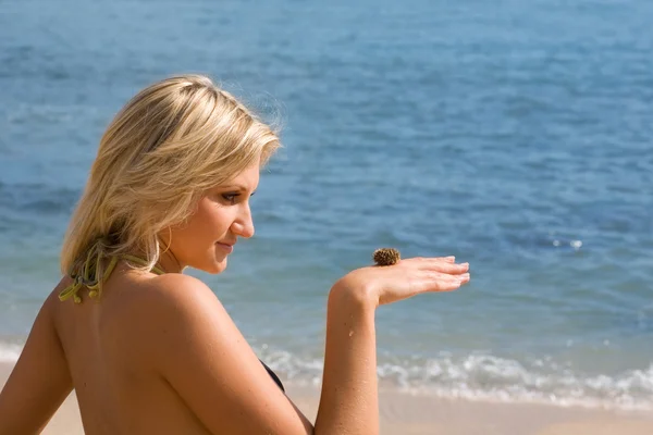 Meisje op het strand kijken naar de zee-egels. — Stockfoto