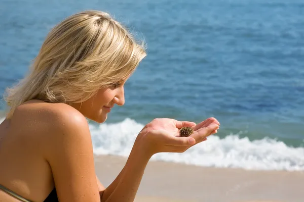 Menina na praia assistindo o ouriço do mar . — Fotografia de Stock