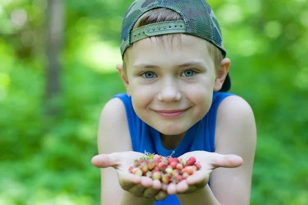 Little boy holding strawberries — Stock Photo, Image