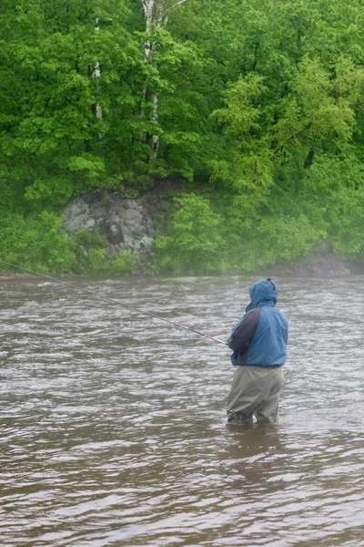 Рыбак ловит лосося на реке — стоковое фото