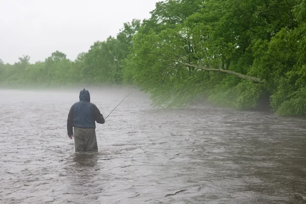 Pescador de pie en el río —  Fotos de Stock