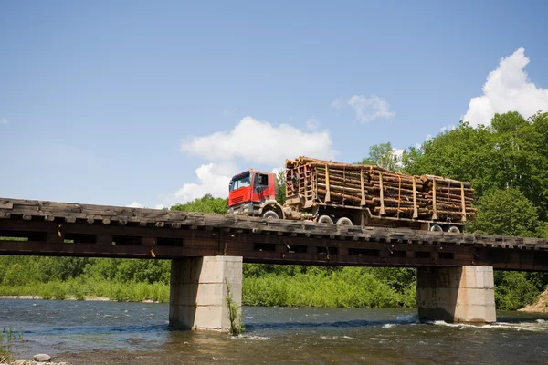 Camion carico di tronchi — Foto Stock