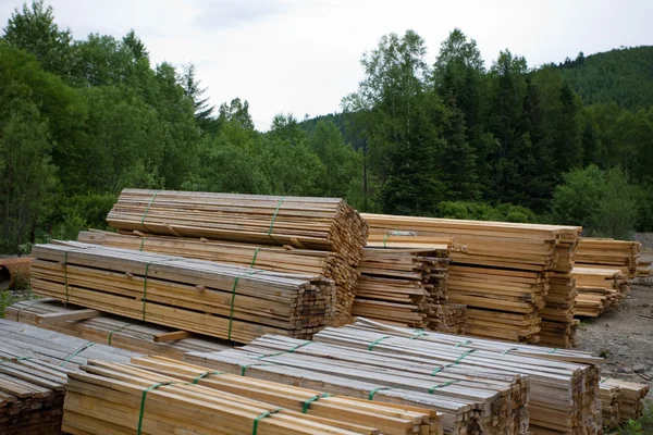 Forest industry — Stock Photo, Image