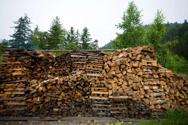 Wood harvested for the fire — Stock Photo, Image