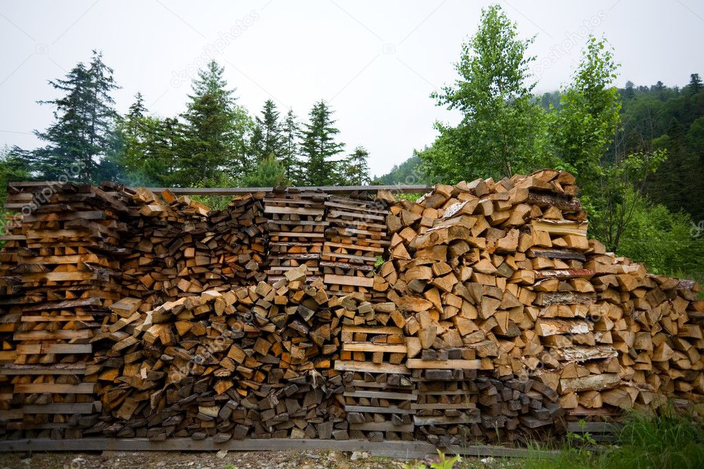 Wood harvested for the fire