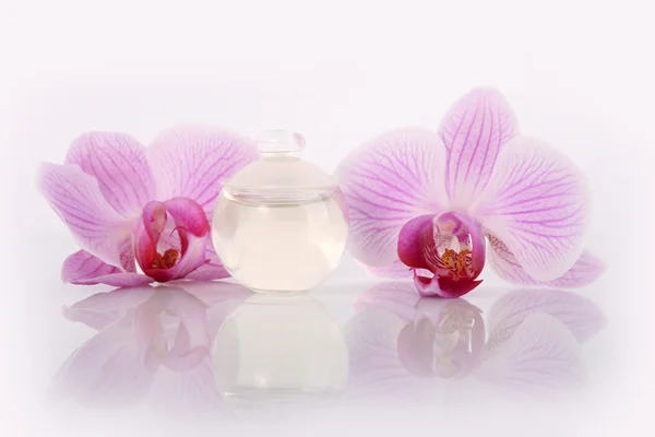 Бутылка духов и цветы орхидеи — стоковое фото