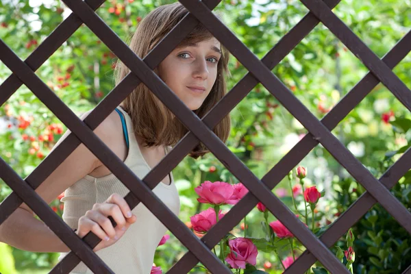 Adolescente chica detrás de una valla de madera — Foto de Stock