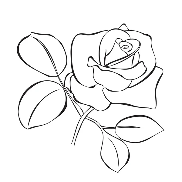Vektor-Illustration der schönen Rose — Stockvektor
