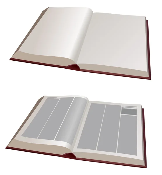 Ilustracja wektorowa - dwa duże książki otwarte — Wektor stockowy