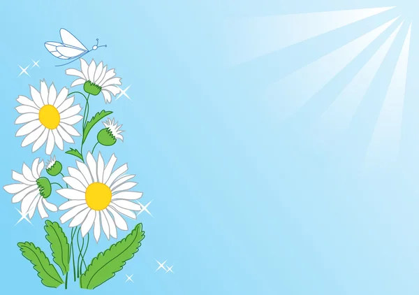 Διάνυσμα θερινή κάρτα με λουλούδια και ακτίνες — Διανυσματικό Αρχείο