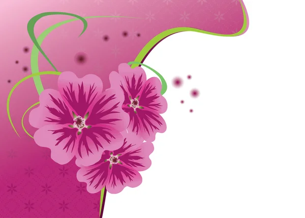 Carte florale avec fleurs malva - vecteur — Image vectorielle