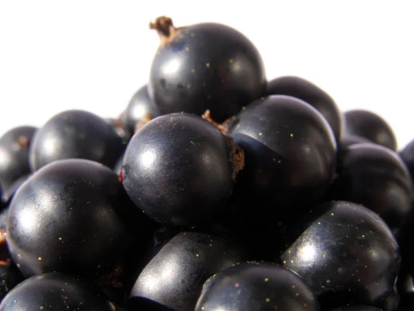Schwarze Johannisbeere - schwarze Beeren aus nächster Nähe — Stockfoto