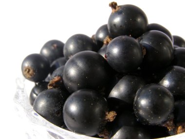 Blackcurrant - siyah tatlı çilek