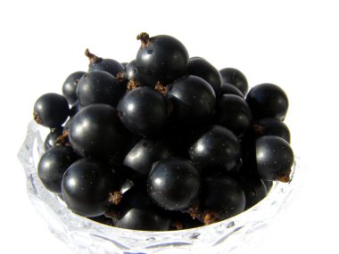Blackcurrant - yaz meyveleri