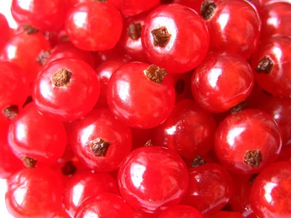 Groselha vermelha - bagas doces e azedas — Fotografia de Stock