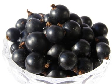 siyah meyveleri Blackcurrant - yakın çekim