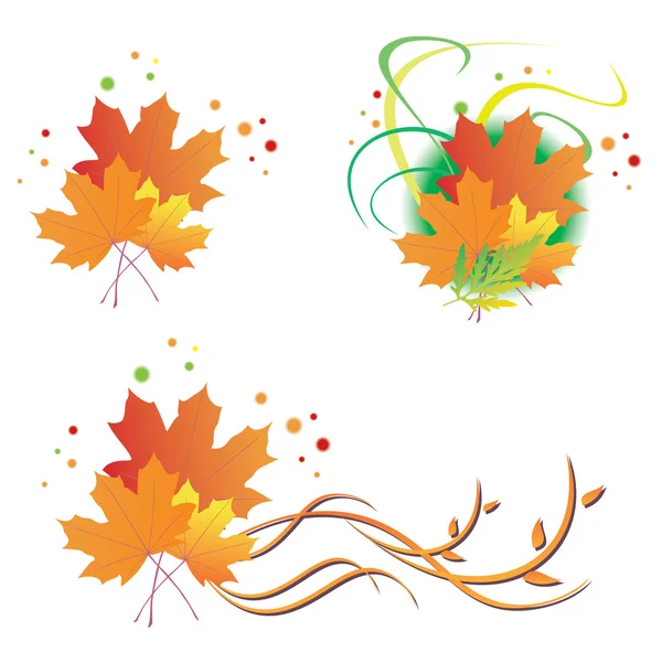 Bright vector floral autumn illustrations — Stock Vector