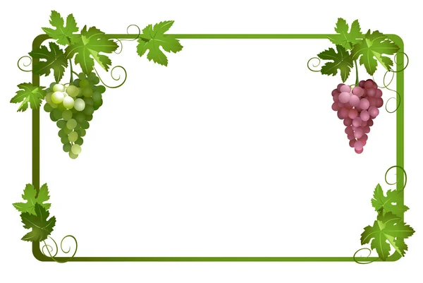 Moldura vetorial com uvas maduras — Vetor de Stock