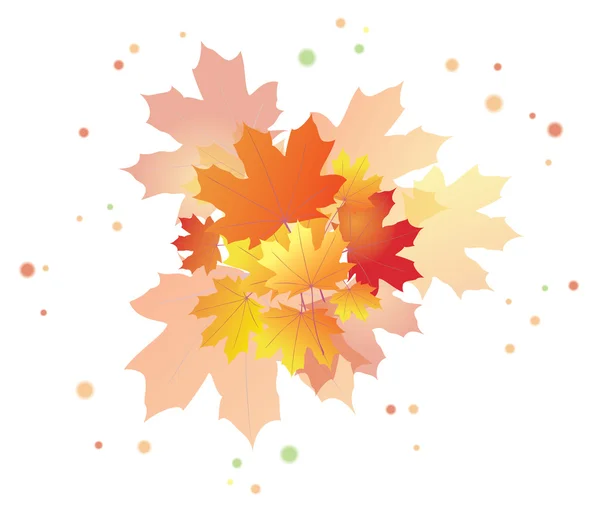 Bright autumn leaves - eps 10 — Stock Vector