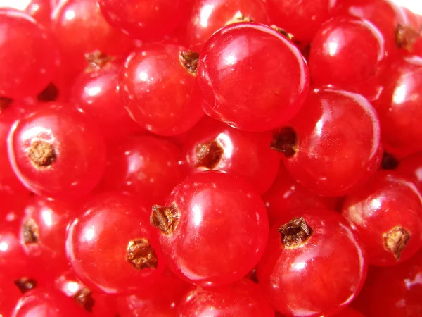Red currant - summer food — Stock Photo, Image