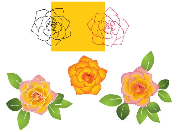 Set of roses - vector illustration — Stock Vector