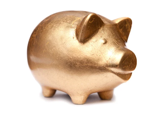 Golden pig moneybox — Stock Photo, Image