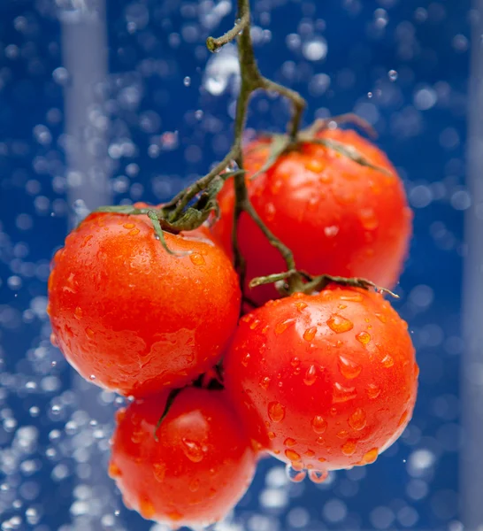 stock image Fresh tomato