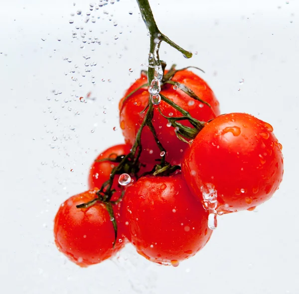stock image Fresh red tomato