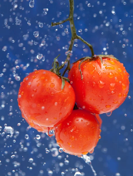 stock image Fresh tomato