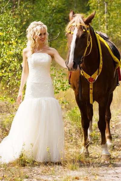 Sposa e cavallo — Foto Stock