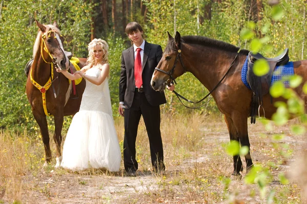 Bride and groom with horses — Stock Photo, Image