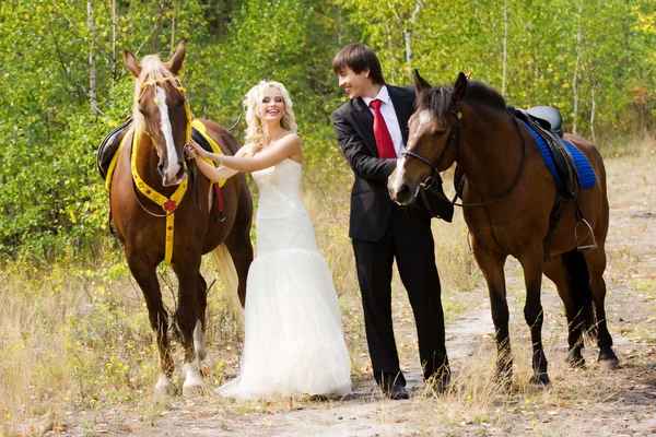 Brud og brudgom med heste - Stock-foto