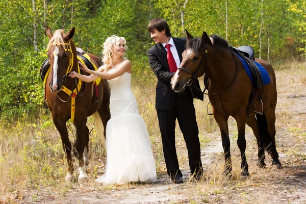 Наречений і наречений з конями — стокове фото