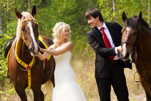 新娘和新郎与马 — 图库照片