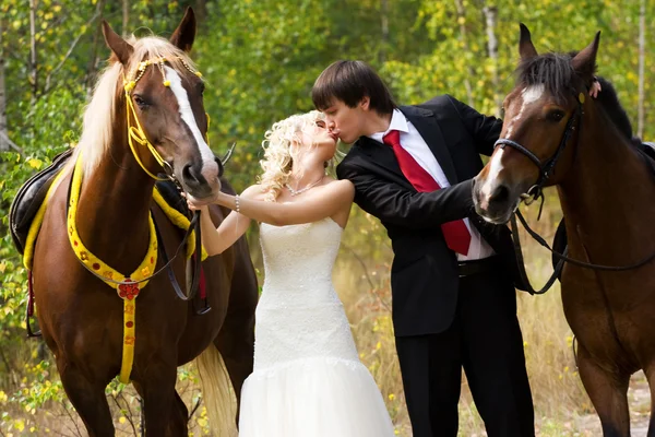 Bruden och brudgummen med hästar — Stockfoto