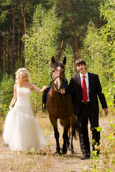 Sposa e sposo con cavalli — Foto Stock