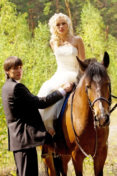 Novia y novio con caballos — Foto de Stock
