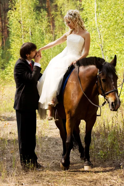 Жених с лошадьми — стоковое фото