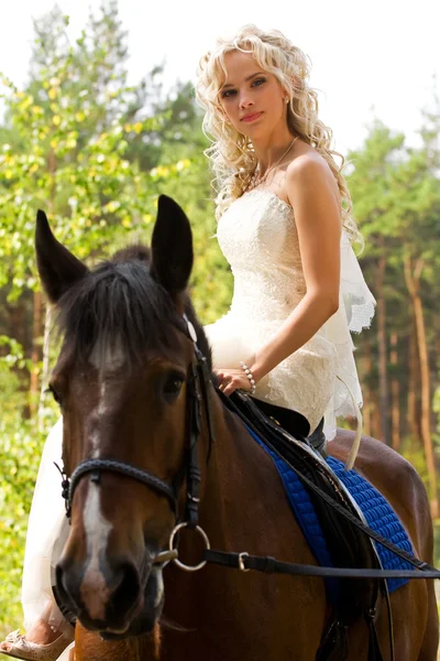 花嫁と馬 — ストック写真