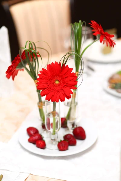 Rote Gerbera — Stockfoto