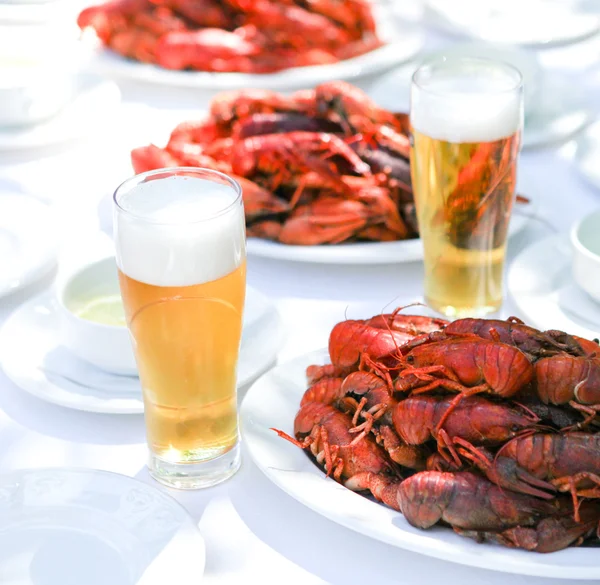 Peixe-lagosta e cerveja — Fotografia de Stock