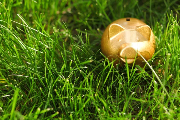 Moneybox on the grass — Stock Photo, Image