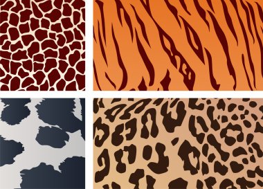 Texture of animal skin clipart