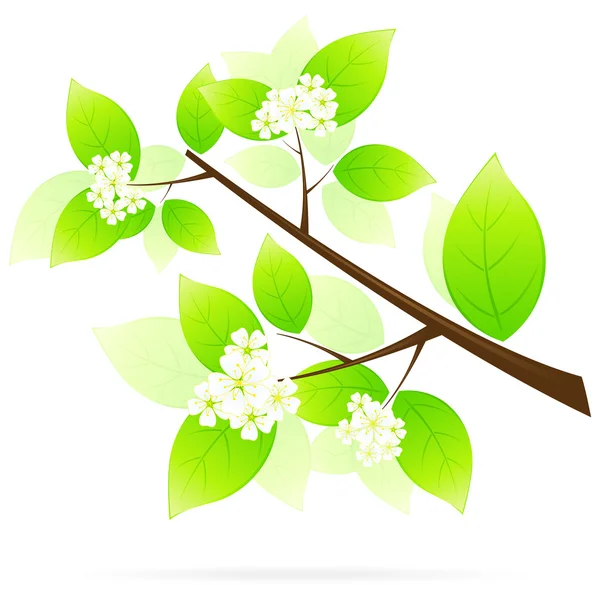 Icono de rama de árbol verde — Vector de stock