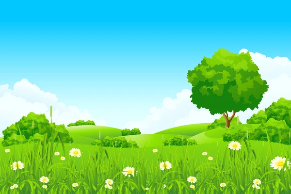 Зеленый пейзаж — стоковый вектор