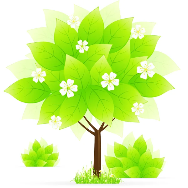 Zelený strom s trávou — Stockový vektor