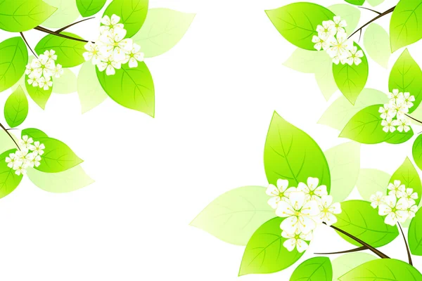 Yeşil yaprakları ve çiçekleri — Stok Vektör
