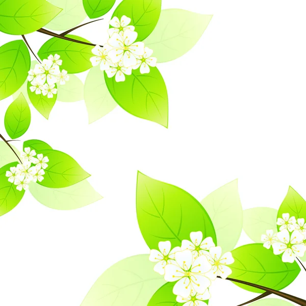 Hojas y flores verdes — Vector de stock