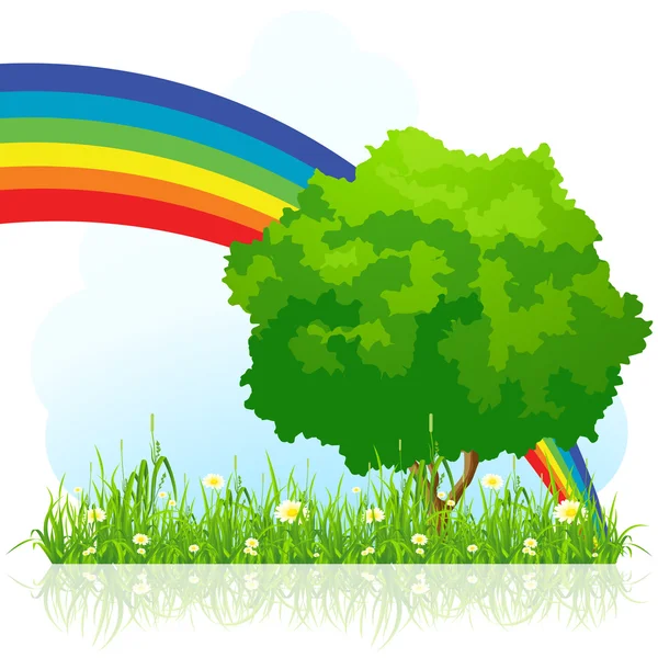 Na białym tle zielony drzewo z rainbow — Wektor stockowy