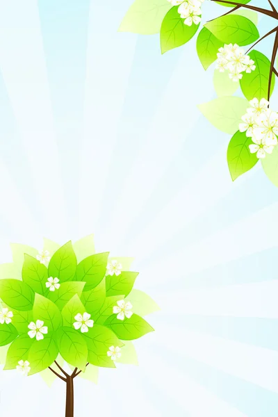 Green tree and sun rays — Stock Vector